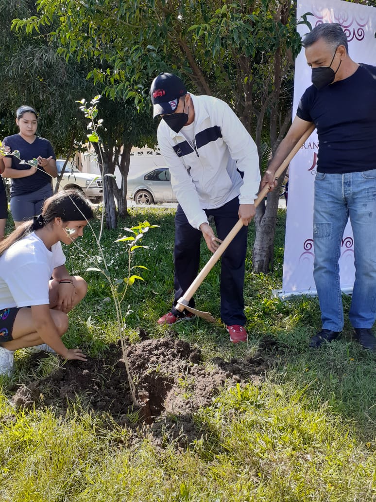 JEREZ YA CUENTA CON UN NUEVO ESPACIO PÚBLICO RECUPERADO: CONTINÚA EL AVANCE DEL PROGRAMA JEREZ REVERDECE.