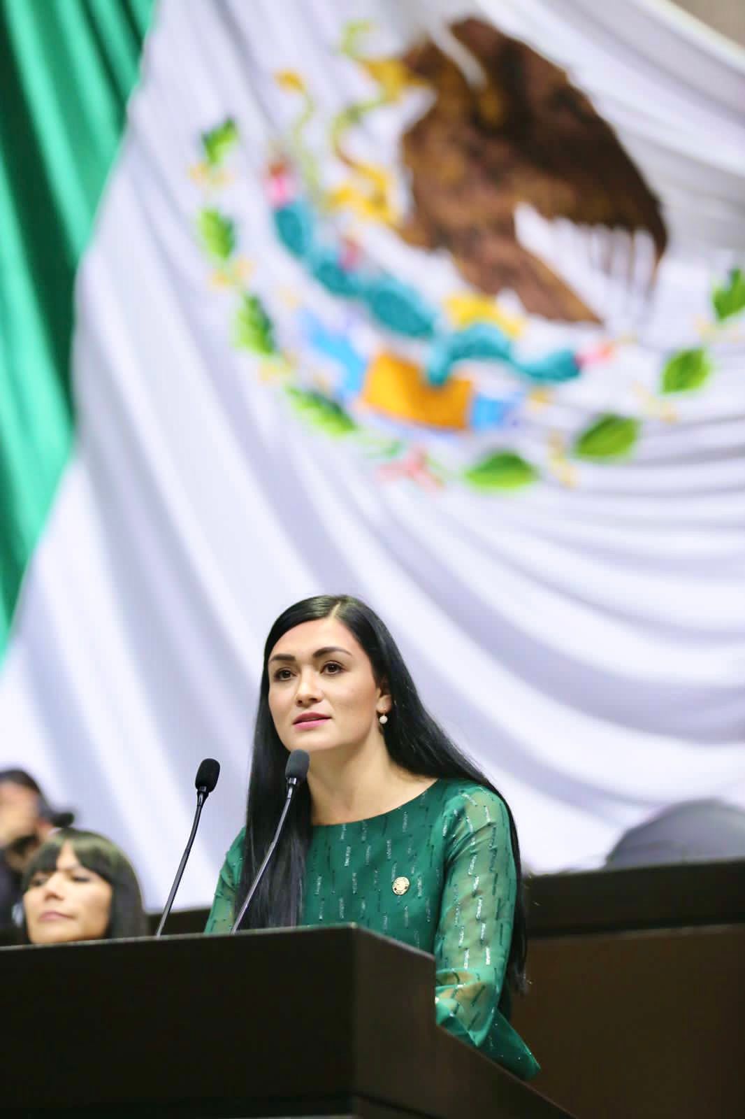 “La inclusión a la discapacidad debe ser prioridad en los programas educativos del país”: Bennelly Hernández.