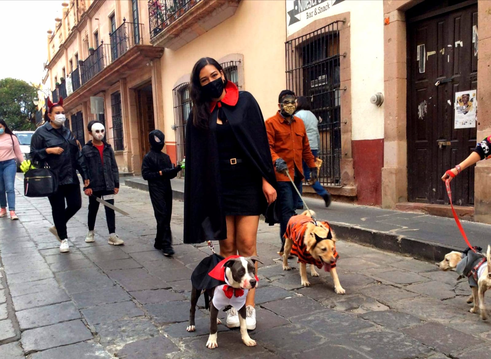 REALIZA AYUNTAMIENTO CAPITALINO EXITOSA CAMINATA CANINA DEL TERROR