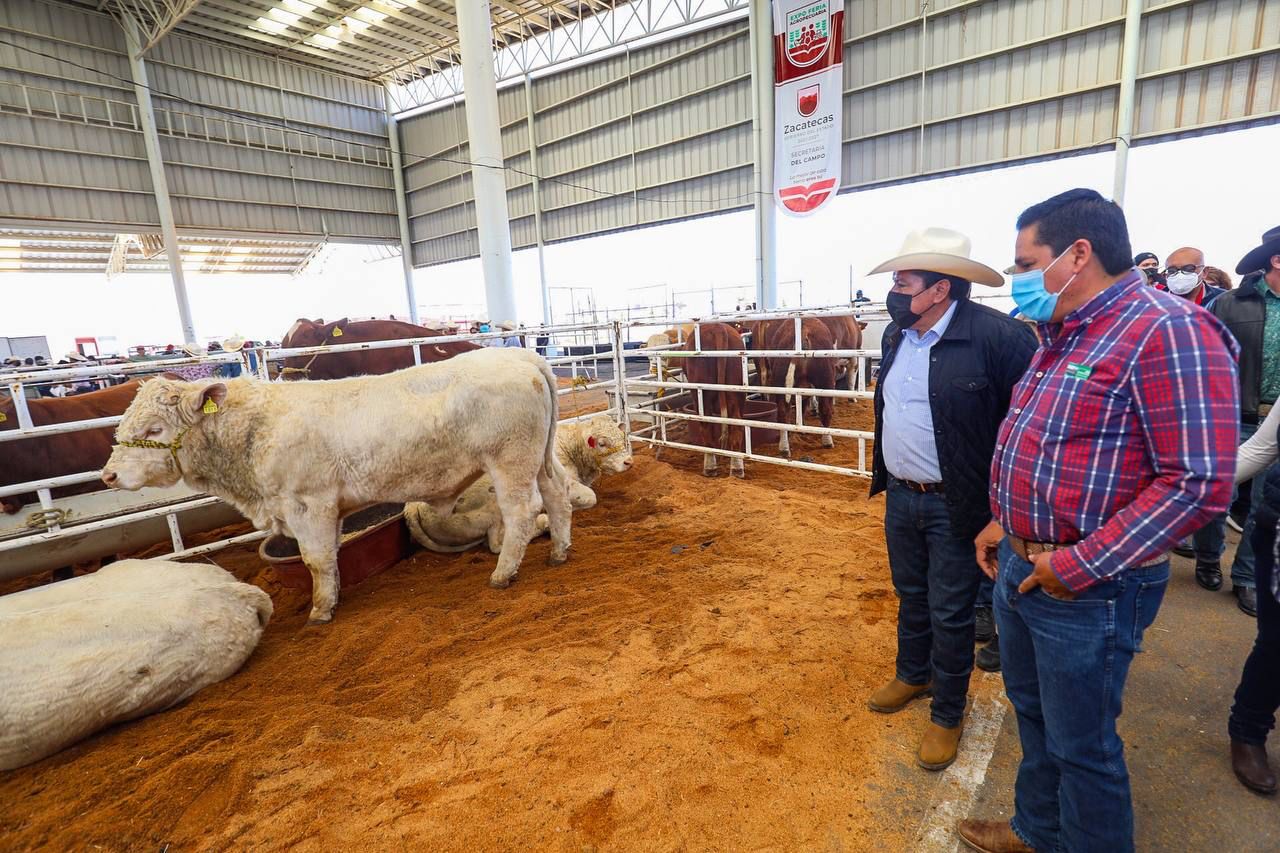 Exitosa inauguración del Tianguis Agropecuario Regional en Fresnillo; productores se benefician con implementos y sementales