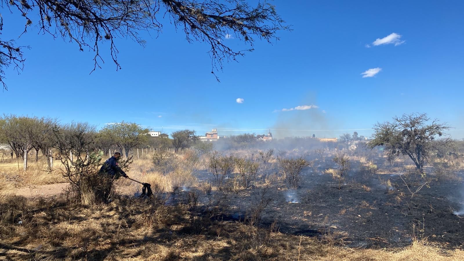 INTERVIENE PROTECCIÓN CIVIL Y BOMBEROS DE JEREZ PARA EVITAR QUE UN INCENDIO SE EXPANDIERA A ZONAS HABITADAS