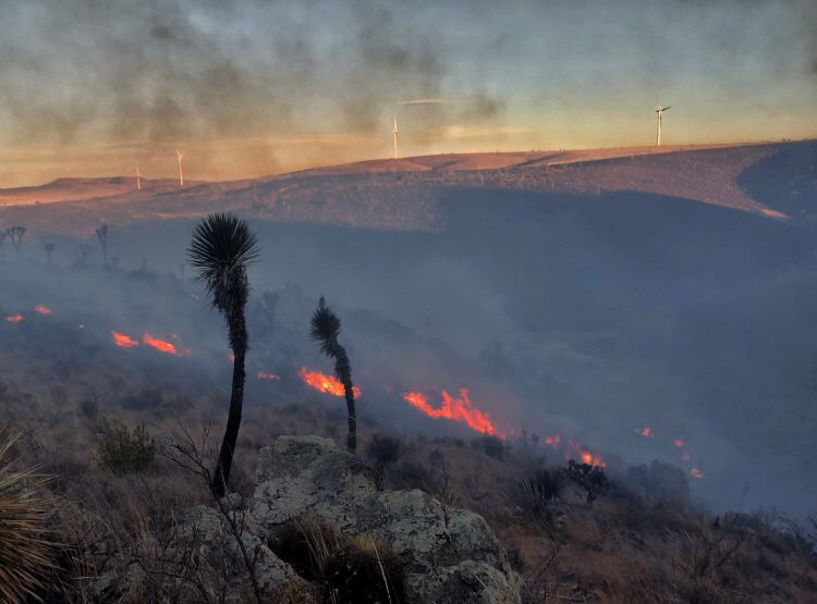 DETECTAN AUTORIDADES AFECTACIONES EN 15 MIL HECTÁREAS TRAS INCENDIO EN EL CERRO LAS CHILITAS