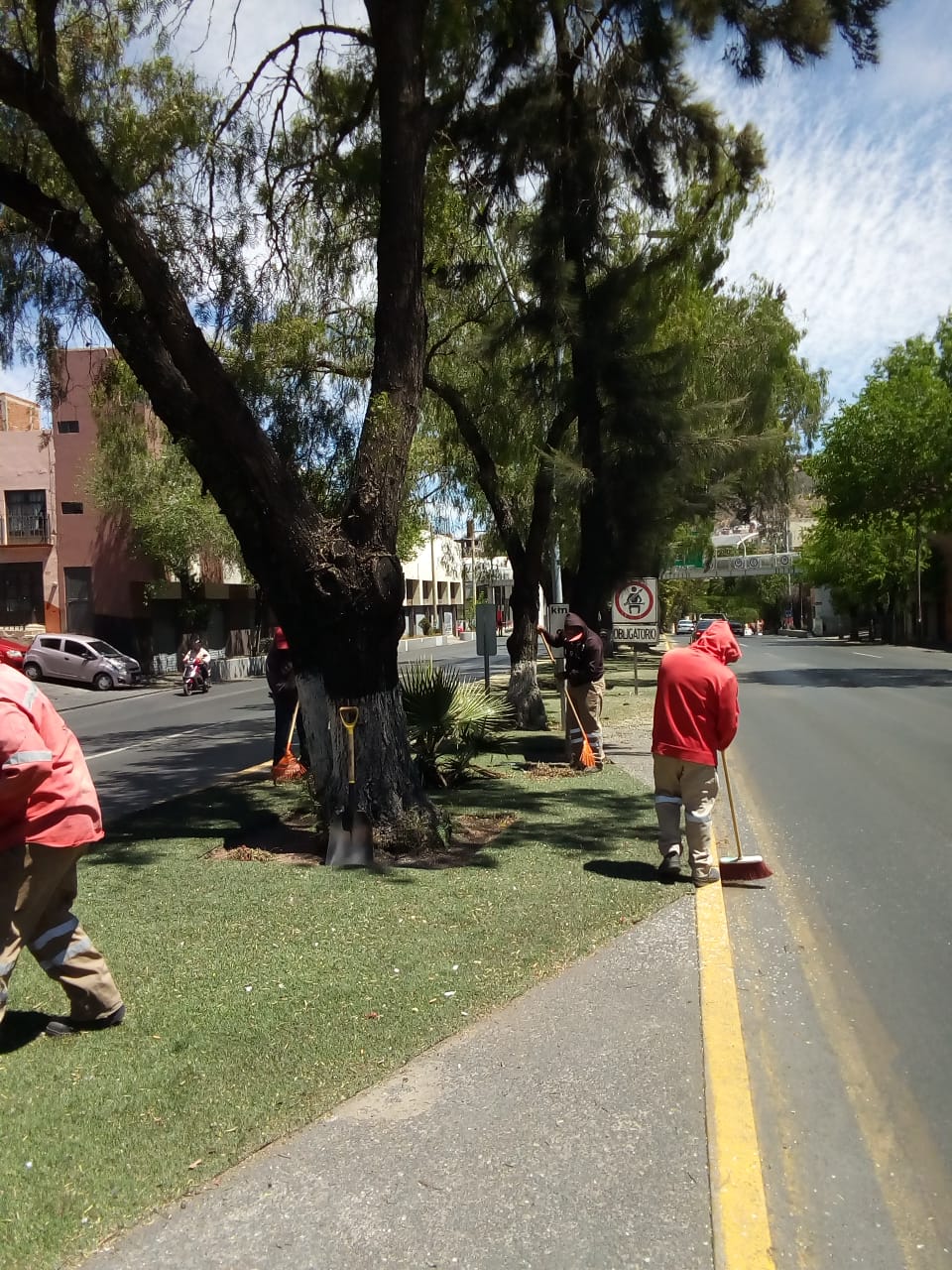 Realiza SOP mantenimiento de limpieza en el Bulevar Metropolitano y áreas verdes de la capital