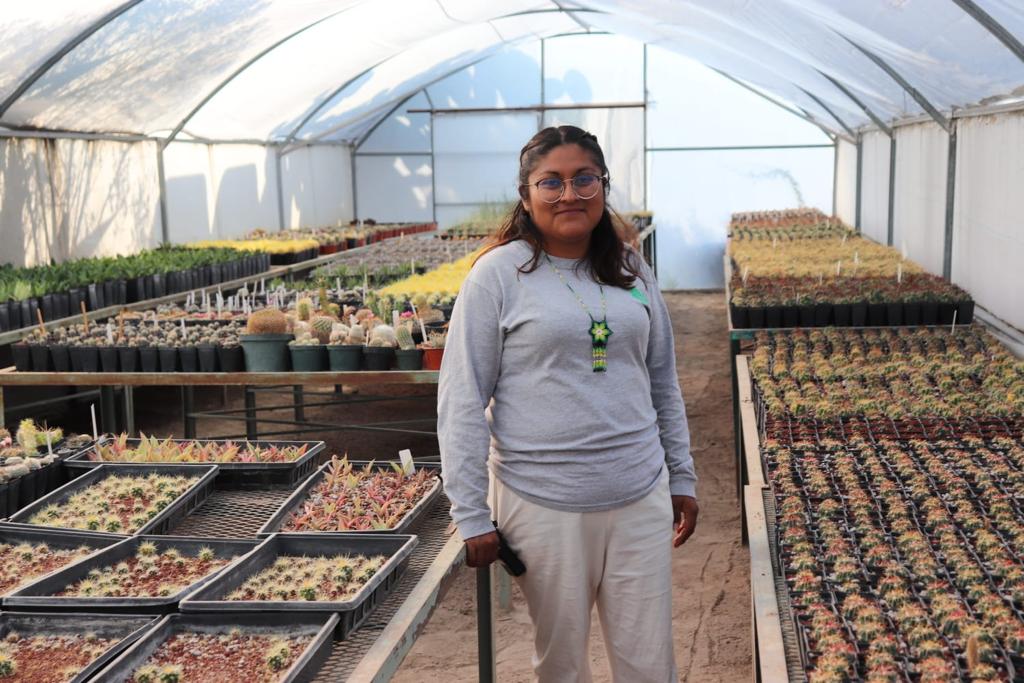 Intercambia Zacatecas experiencias sobre jardines etnobiológicos con Guanajuato