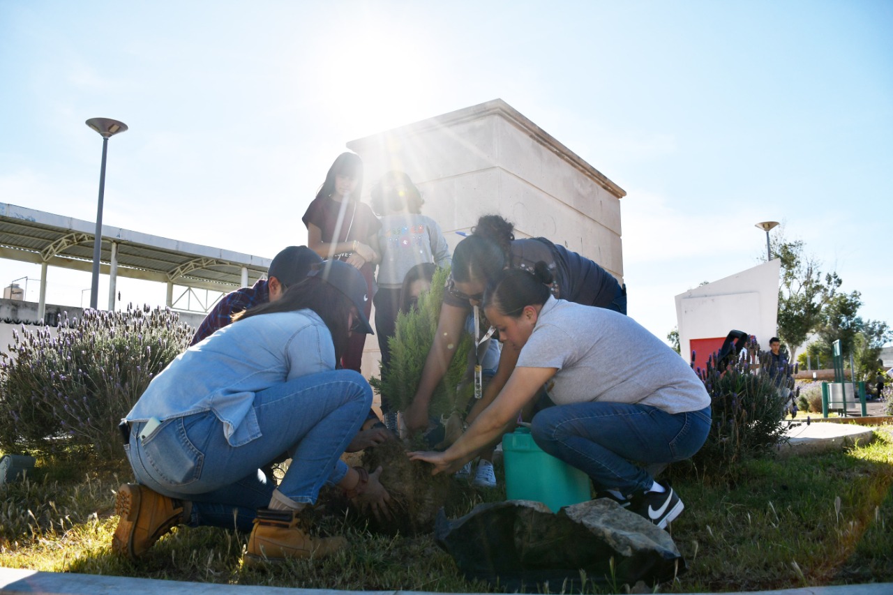 A través de la Dirección de Promoción y Fomento de los Valores