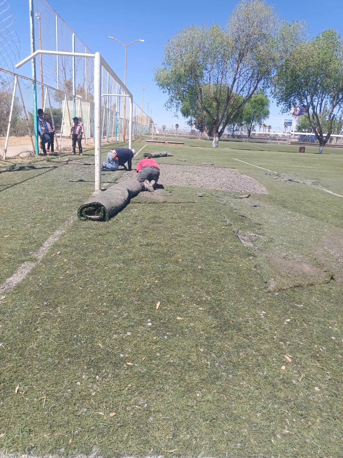 REHABILITA EL AYUNTAMIENTO LOS CAMPOS DE LA UNIDAD DEPORTIVA NORTE