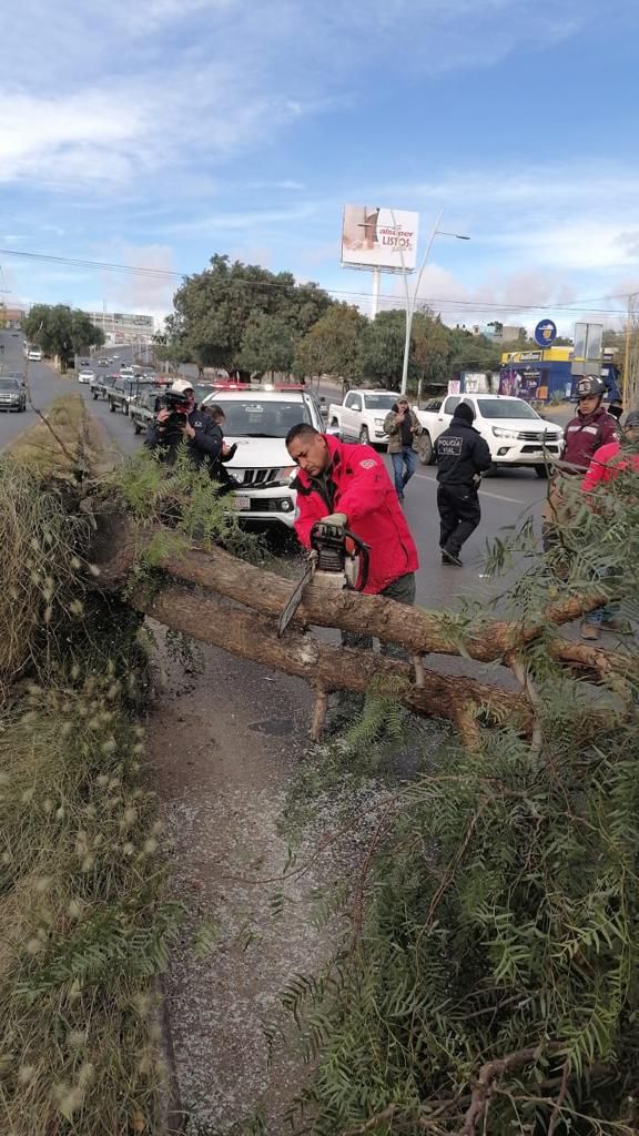 Atiende Protección Civil Estatal diversos reportes de daños provocados por rachas de viento