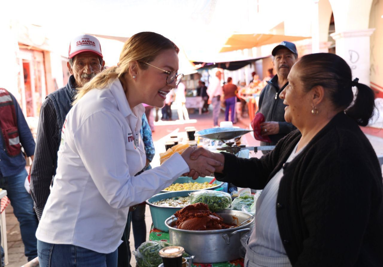 Comerciantes de Fresnillo con Vero Díaz, candidata al Senado por Morena