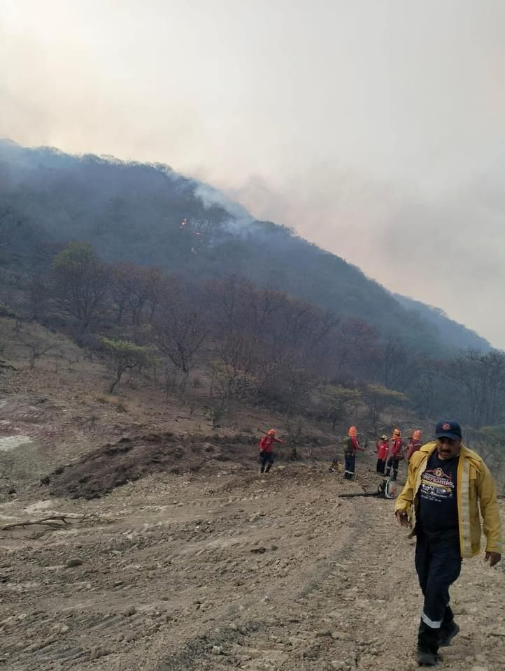 Extinguidos incendios forestales de Teúl de González Ortega y Monte Escobedo