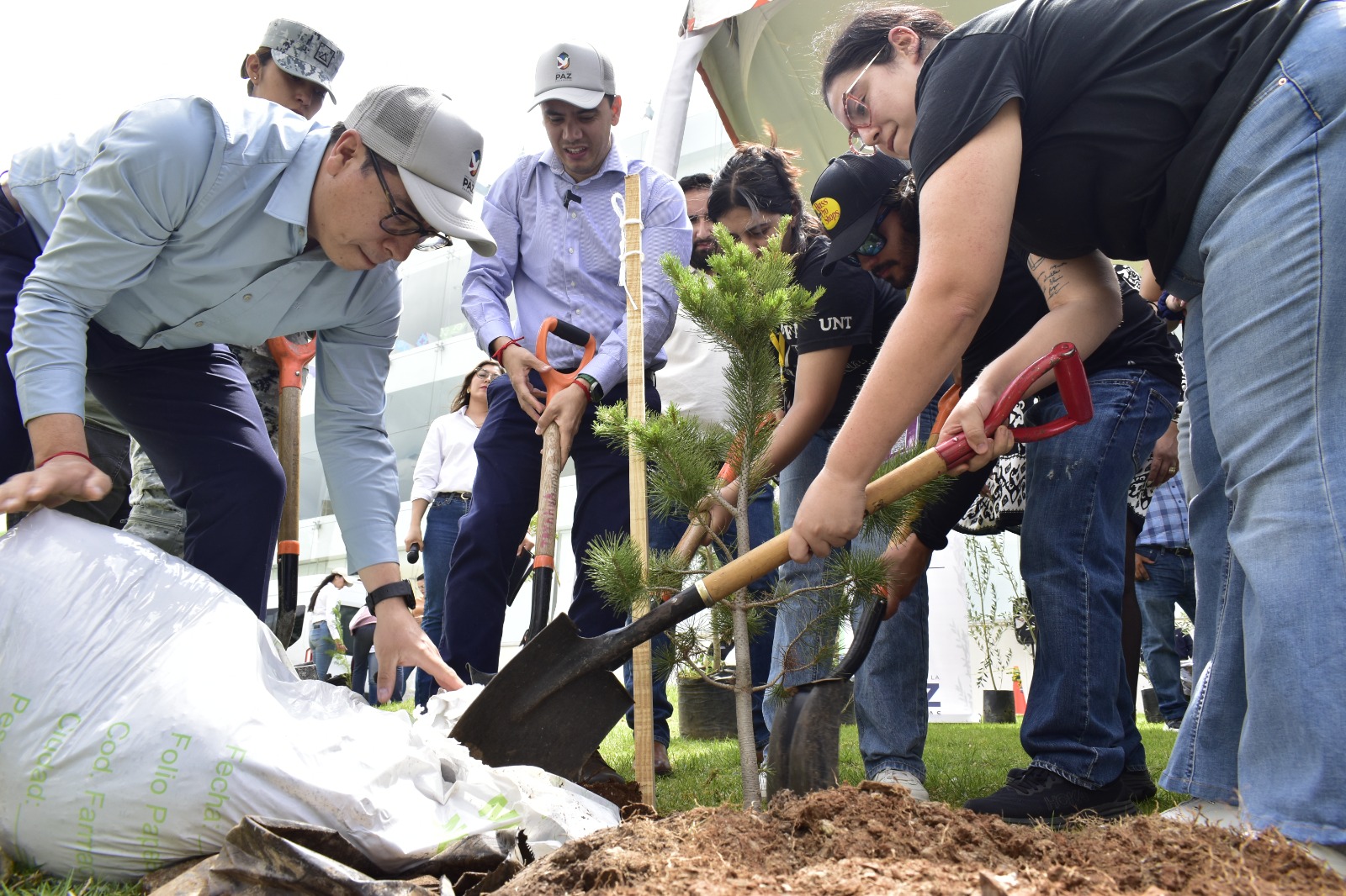 Realizan Gobierno de Zacatecas y Guardia Nacional arborización en Jardín de la Paz