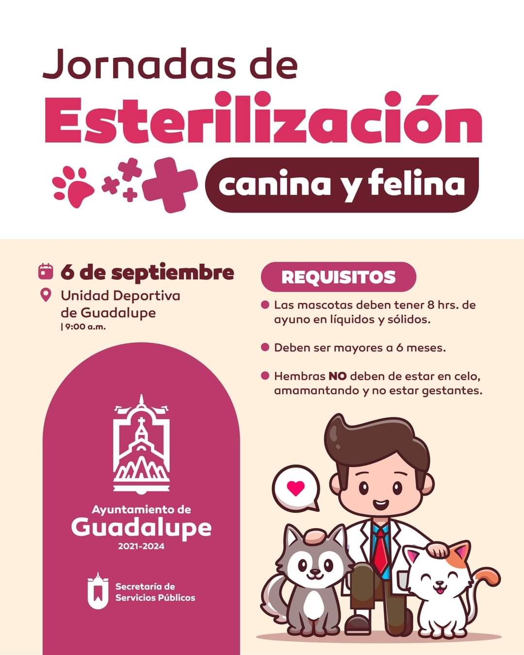 Jornadas de esterilización canina y felina fortalece Pepe Saldívar acciones de bienestar animal en el Municipio de Guadalupe