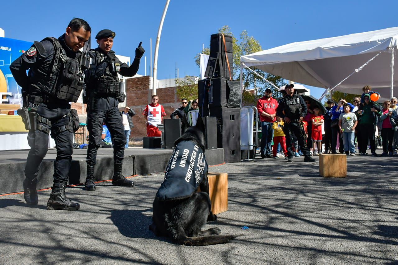 Refuerza Gobierno de Zacatecas cultura de paz y valores en fraccionamiento Colinas del Padre