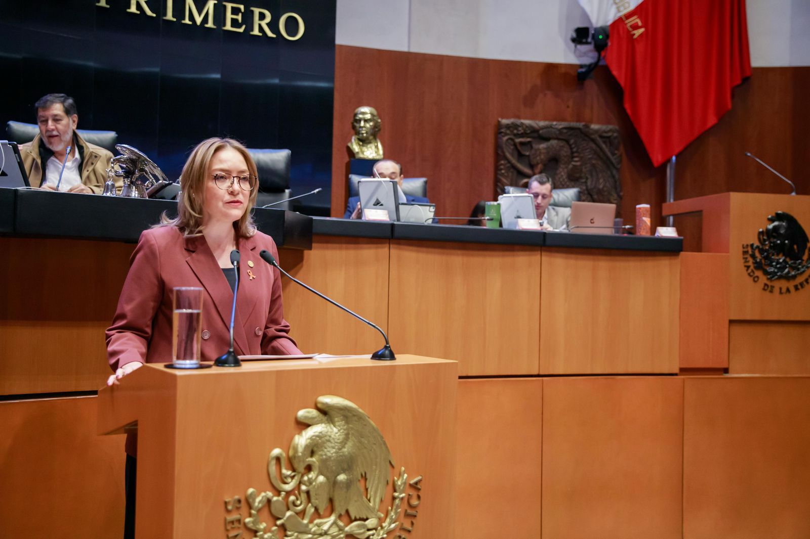 REFORMA DE SIMPLIFICACIÓN ORGÁNICA PONE FIN A UN PERIODO DE DESPILFARRO, SIMULACIÓN Y CORRUPCIÓN: SENADORA VERO DÍAZ 