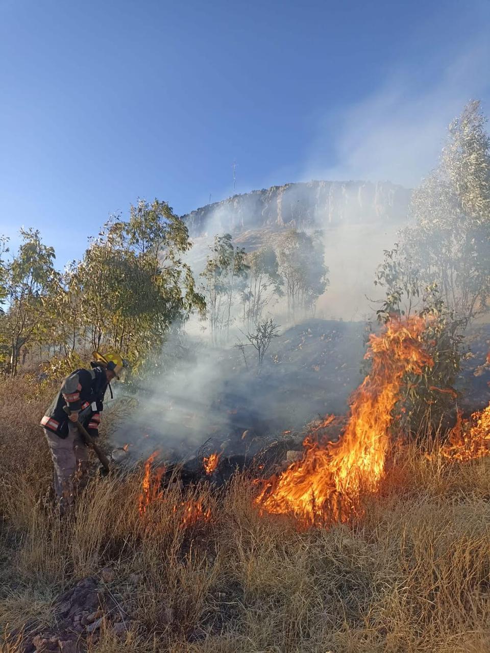 Atiende Protección Civil 136 incendios forestales en el estado