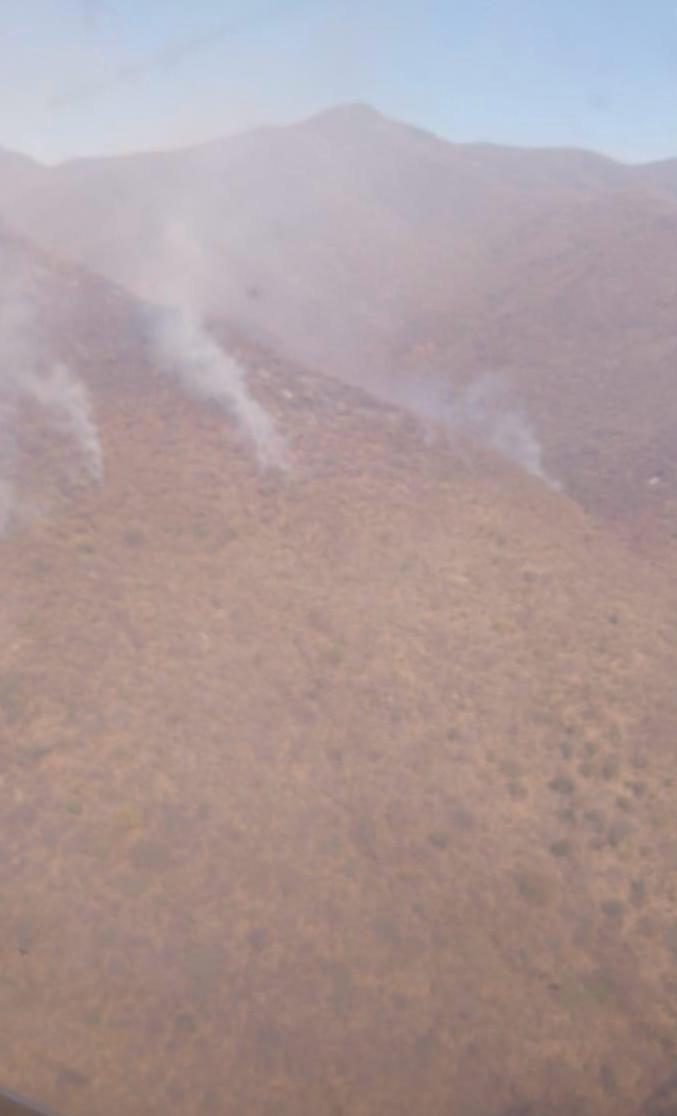 Avanza liquidación del fuego en 50 por ciento de la zona en emergencia