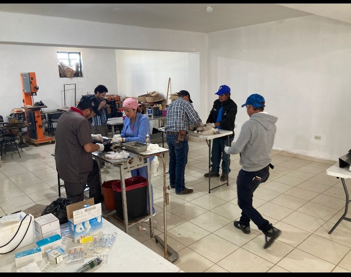 Zacatecas impulsa campaña intermunicipal de esterilización para fortalecer el bienestar animal