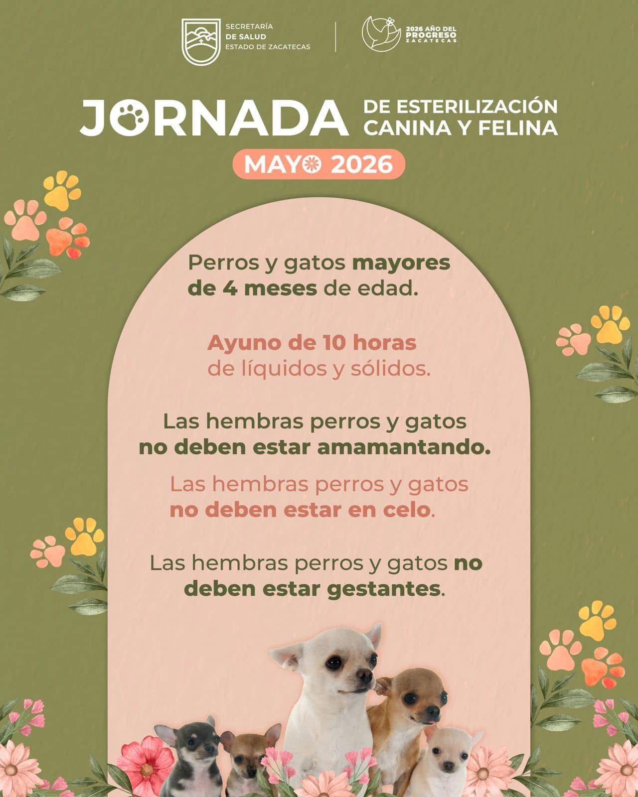 SSZ llevará servicios de esterilización canina y felina a Villa de Cos