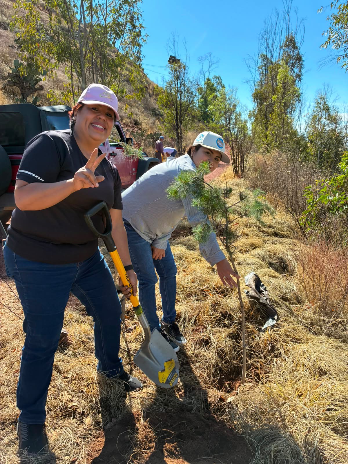 Zacatecas Capital inicia jornada de reforestación en el Cerro de la Bufa para conmemorar el Día Mundial del Medio Ambiente