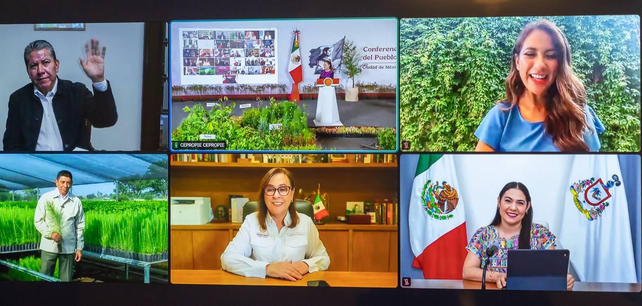 Participa Gobernador David Monreal Ávila en La Mañanera del Pueblo; Zacatecas se suma a Jornada Nacional de Reforestación
