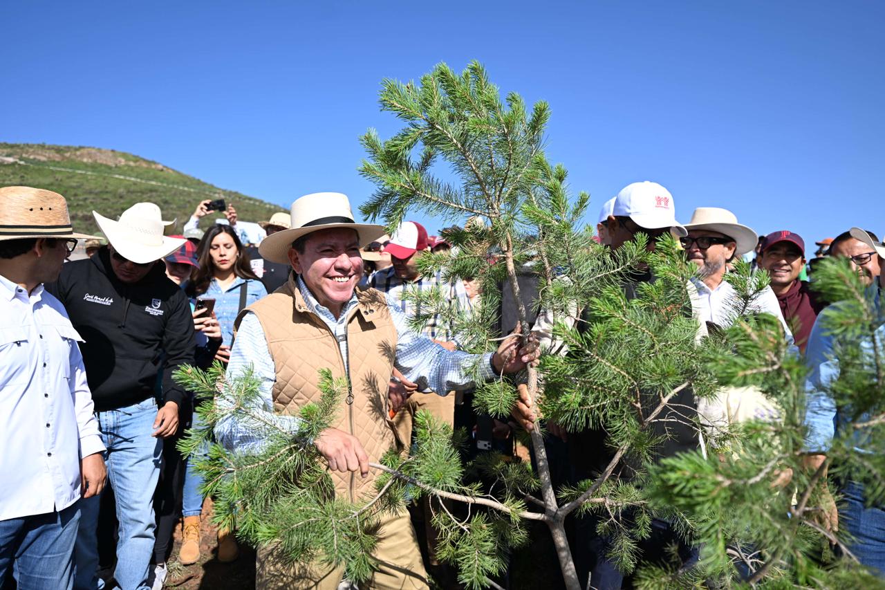 Se suma Gobernador David Monreal a la Jornada Nacional de Reforestación 2026; siembran más de 18 mil árboles en Zacatecas