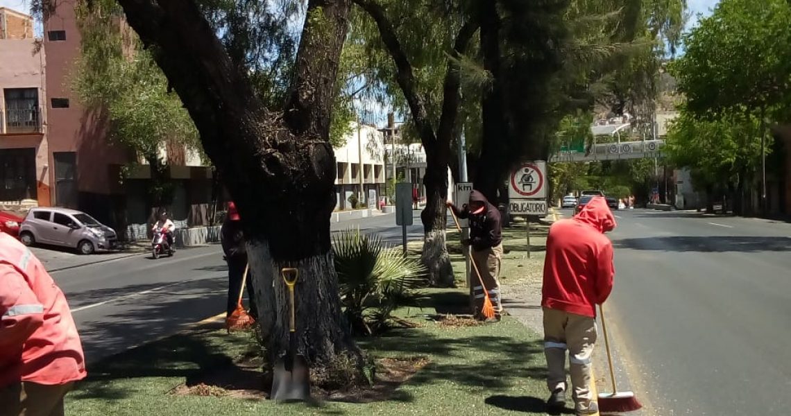 WhatsApp Image 2022-04-07 at 4.48.07 PM