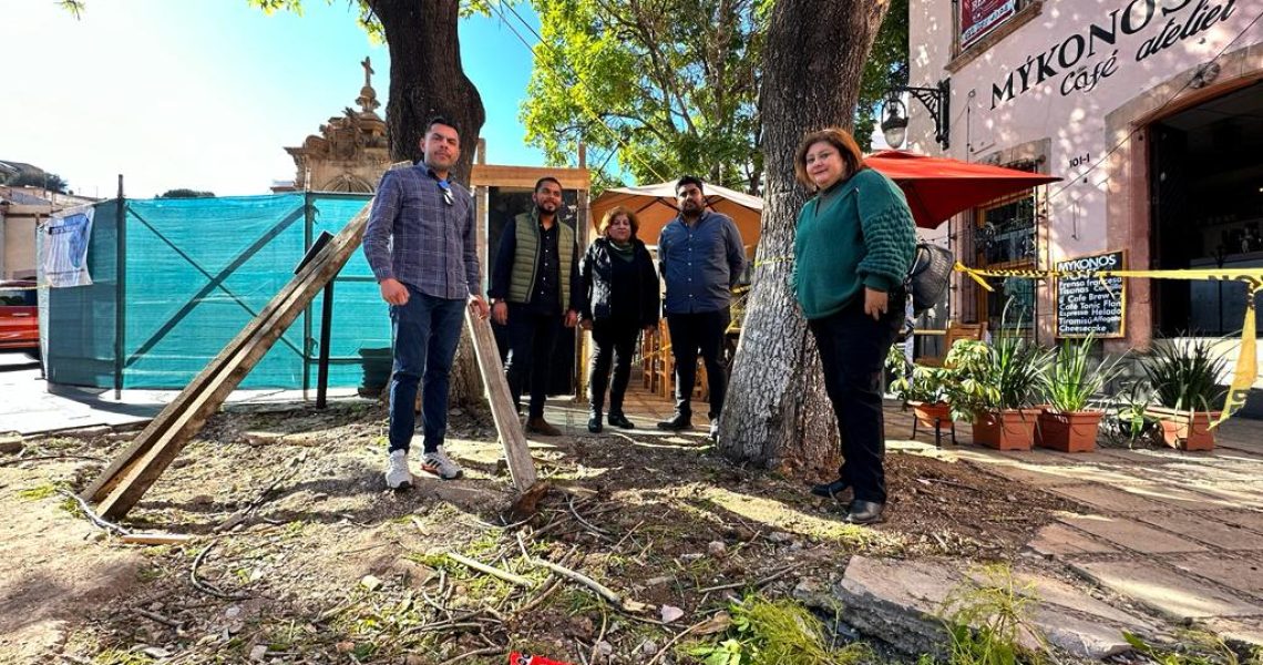 WhatsApp Image 2023-02-10 at 16.36.11