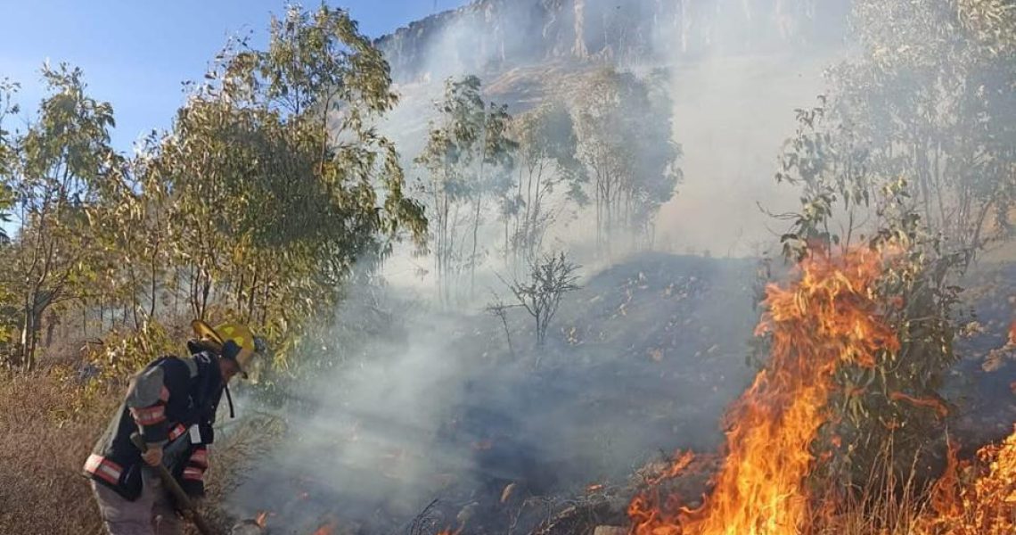 WhatsApp Image 2025-03-11 at 5.34.48 PM